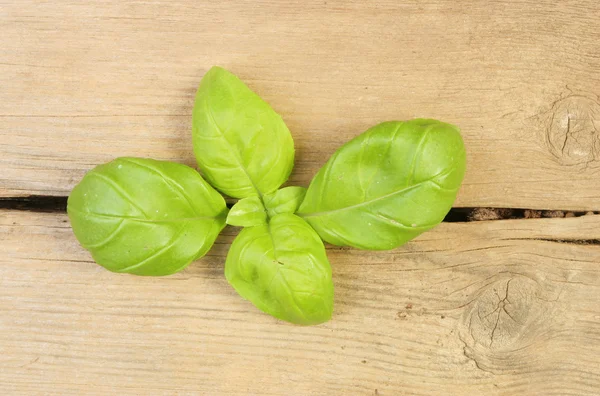 Hojas de albahaca sobre madera —  Fotos de Stock