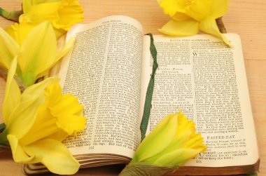 gebed boek en narcissen