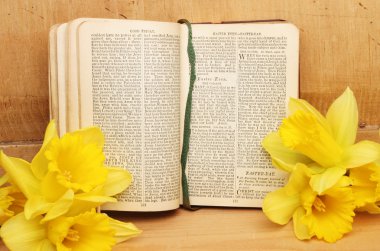 gebed boek en narcissen