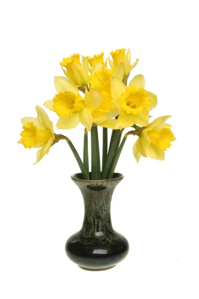 Daffodils in a vase — Stock Photo, Image