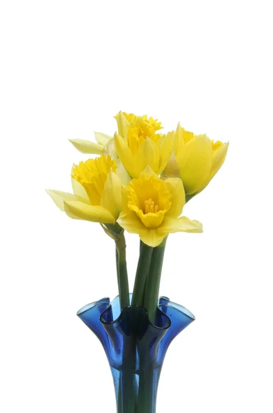 Daffodils in a vase — Stock Photo, Image