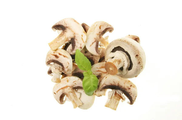 Mushrooms and basil — Stock Photo, Image