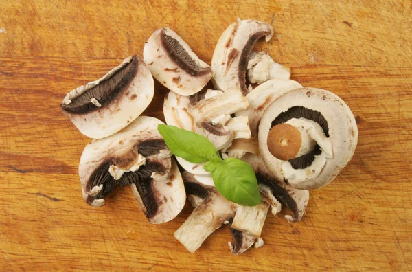 Pilze und Basilikum — Stockfoto