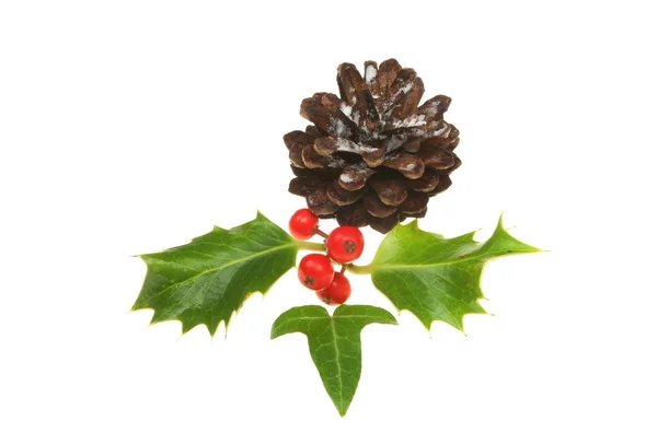 Holly and pine cone — Stock Photo, Image