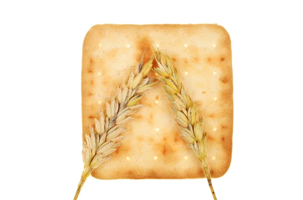 Orejas de trigo en una galleta — Foto de Stock