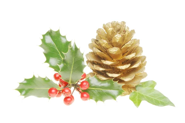 Christmas foliage — Stock Photo, Image