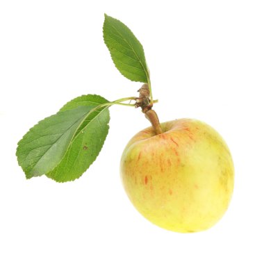 taze çekilmiş elma