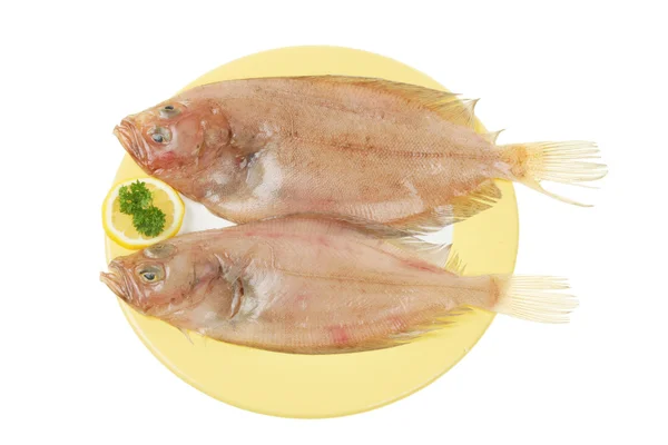 Två glasvar enda plattfisk på en tallrik — Stockfoto