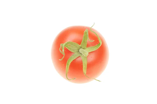 Tomat dengan tangkai hijau — Stok Foto