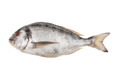 çipura