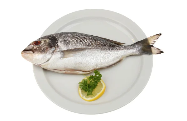 Sea bream on a plate — Stock Photo, Image