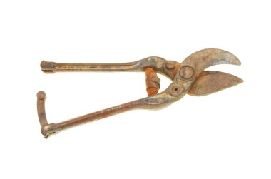 eski paslı Bahçe secateurs