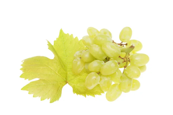 Winogrona i liści winorośli — Zdjęcie stockowe