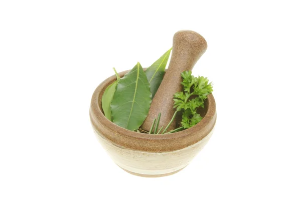 Fresh herbs in a pestle and mortar — Stock Photo, Image