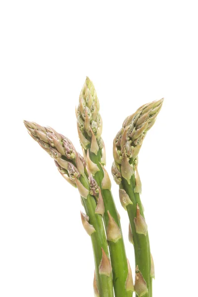 Lance di asparagi — Foto Stock