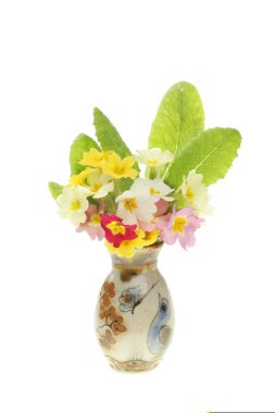 Vazoda bahar çiçekleri