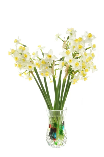 Bunch of white daffodil flowers — Stock Photo, Image