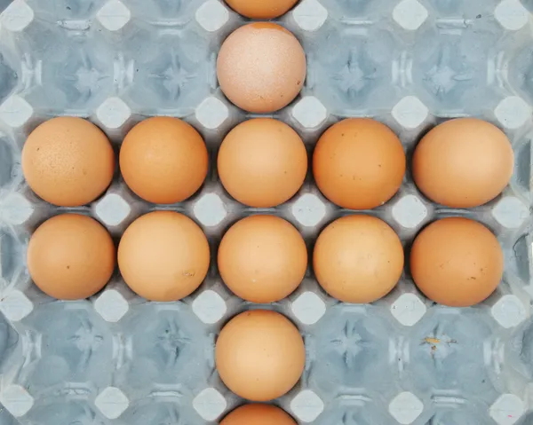 Eggs in a tray — Stock Photo, Image