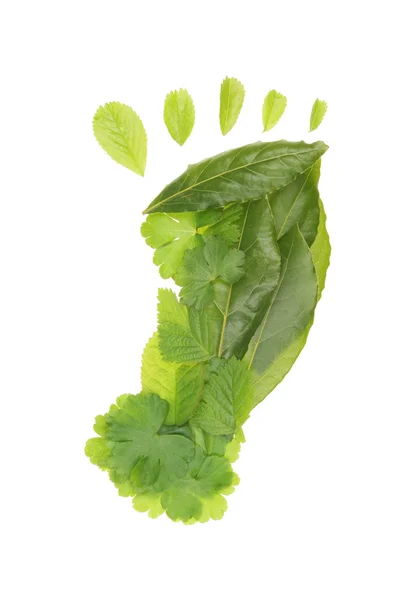 Green footprint — Stock Photo, Image
