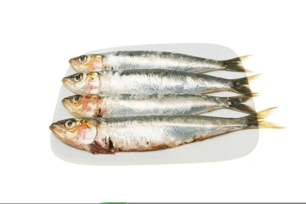 Sardine su un piatto — Foto Stock