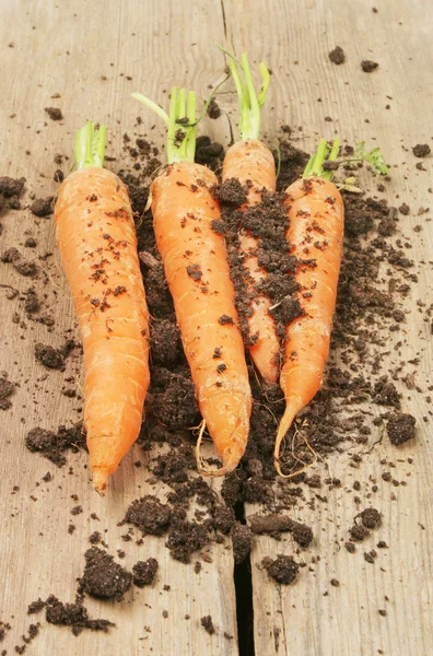 Zanahorias y tierra sobre madera —  Fotos de Stock