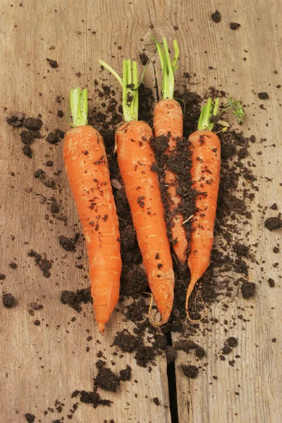 Fresh carrots and soil on wood — Stock Photo, Image