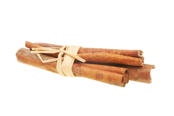 Bundle of cinnamon sticks — Stock Photo, Image