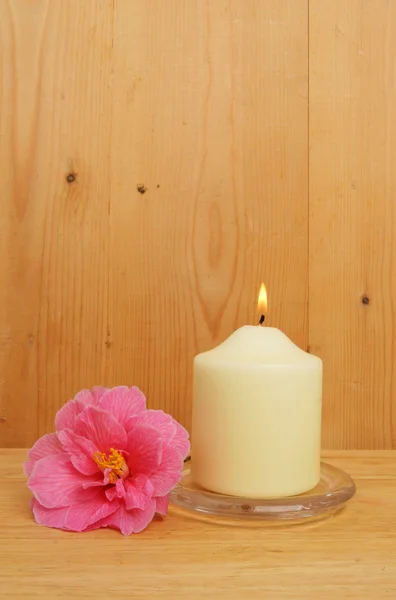 Vela ardente e flor de camélia — Fotografia de Stock