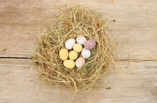 Easter eggs in a nest — Stock Photo, Image