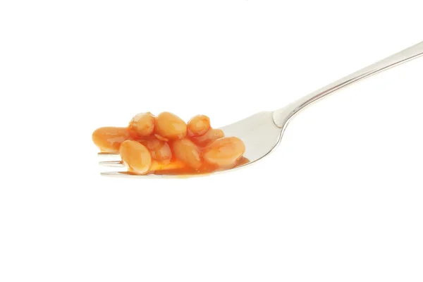 Beans on fork — Stock Photo, Image