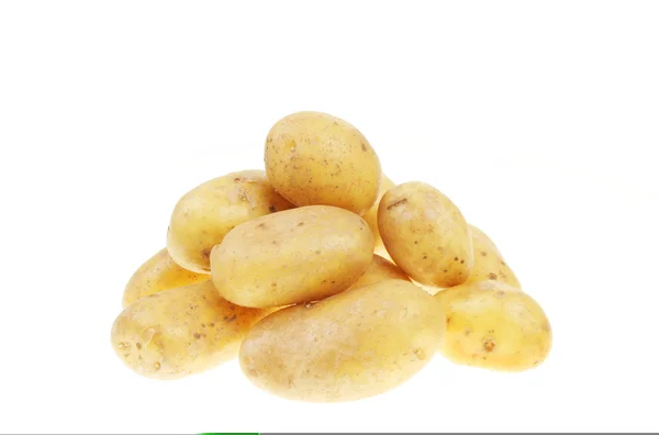 Aardappelen — Stockfoto