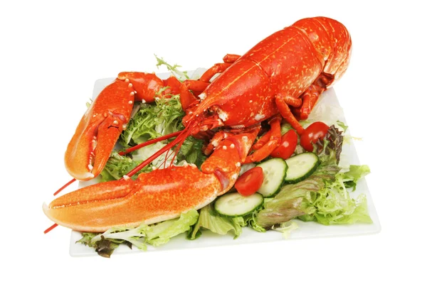 Homard et salade — Photo