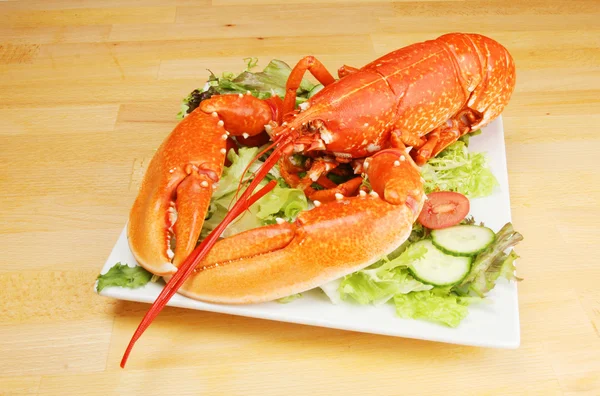 plaka üzerinde ıstakoz