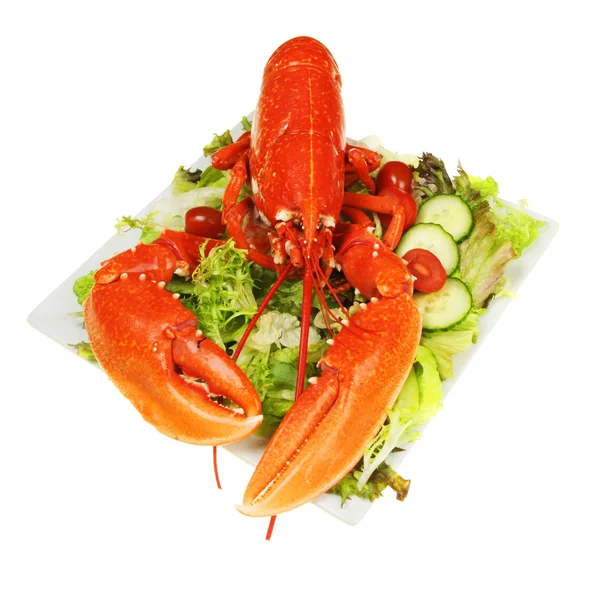 Homard cuit sur salade — Photo