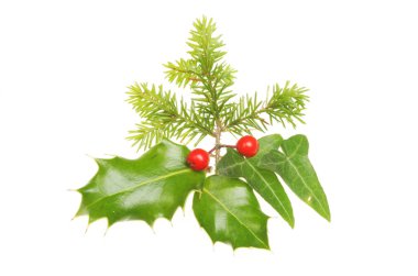 Noel yaprak motifi