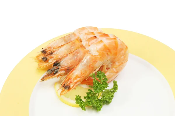 Crevette prawns on a plate — Stock Photo, Image