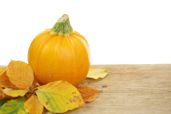 Squash leaves and wood — Stock Photo, Image