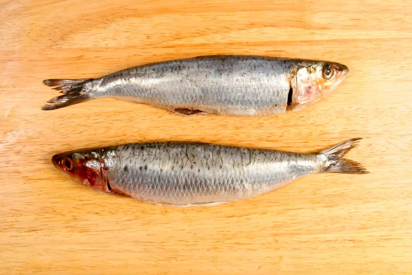 Two sardines — Stock Photo, Image