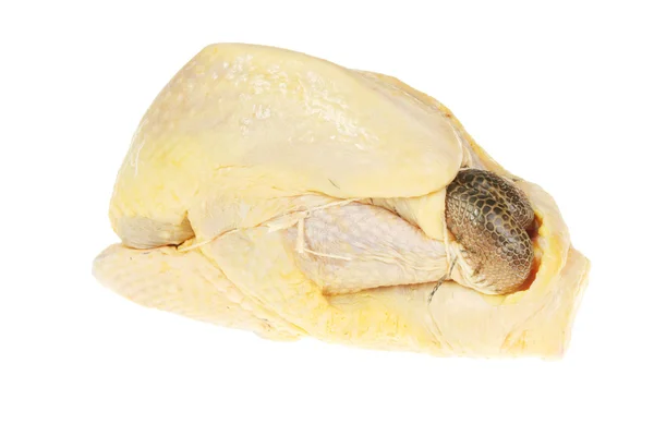 Guinea fowl — Stock Image Guinea fowl Stock Picture