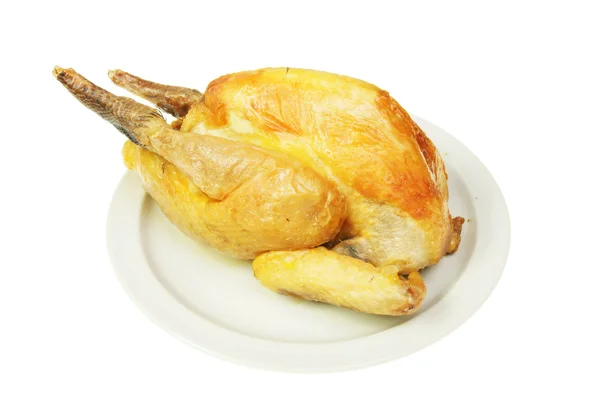 Roasted guinea fowl — Stock Image Roasted guinea fowl Stock Image