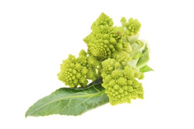 Romanesco çiçeği