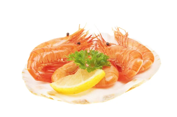 Prawns in shell — Stock Photo, Image