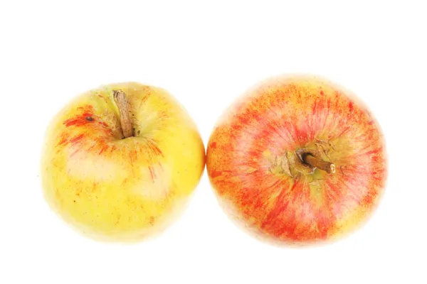 Iki organik elma — Stok fotoğraf