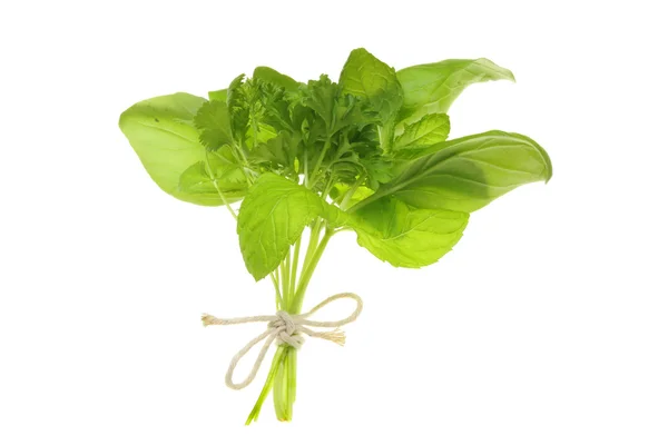 Fresh herbs — Stock Photo, Image