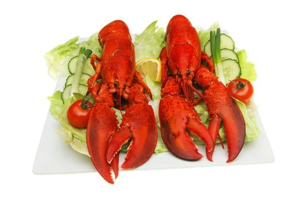 Lobsters y ensalada —  Fotos de Stock