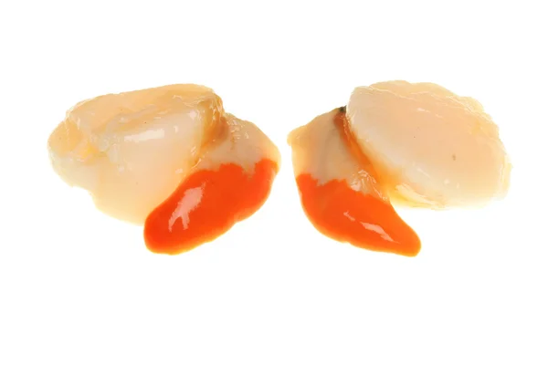 Two scallops — Stock Photo, Image