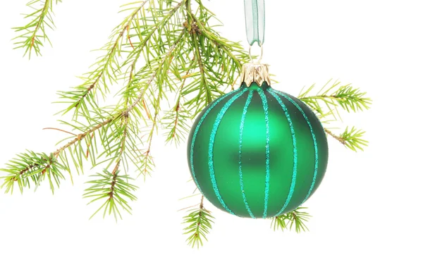 Christmas ball in tree Stock Image