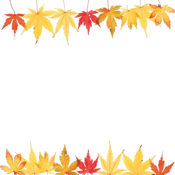 Herbstviereckrahmen — Stockfoto