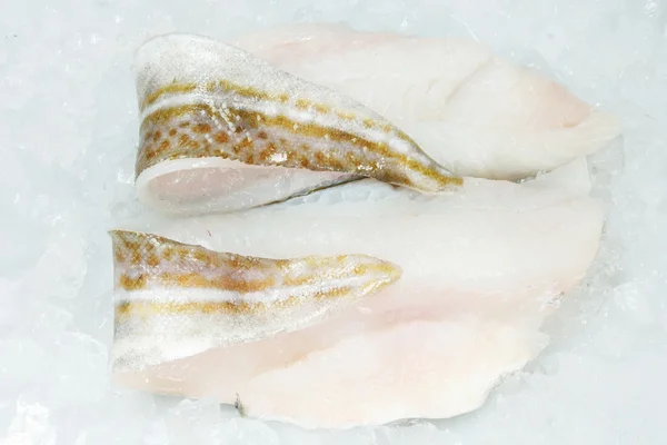 Filetes de bacalao sobre hielo — Foto de Stock