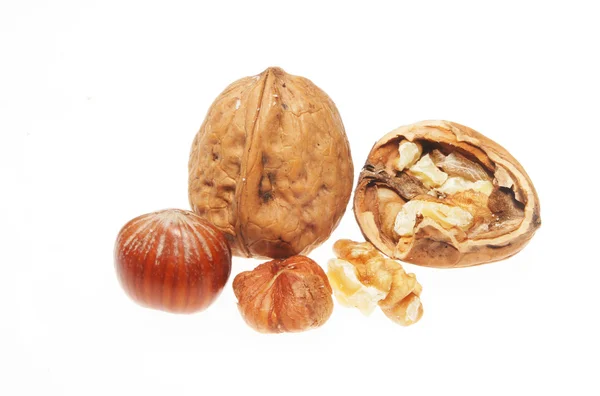 Walnuts and hazel nuts — Stock Photo, Image